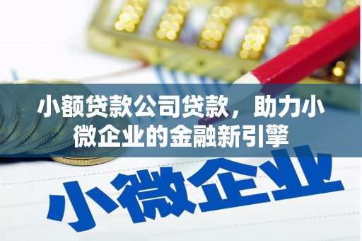 文成小额贷款公司贷款，助力小微企业的金融新引擎