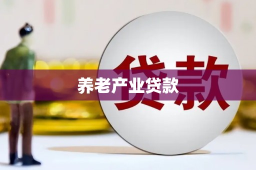 文成养老产业贷款