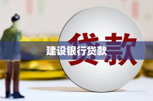 文成建设银行贷款