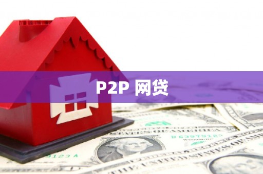 文成P2P 网贷