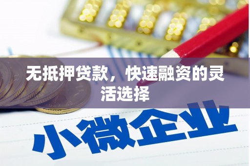 文成无抵押贷款，快速融资的灵活选择