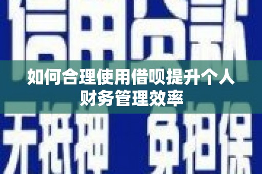 文成如何合理使用借呗提升个人财务管理效率