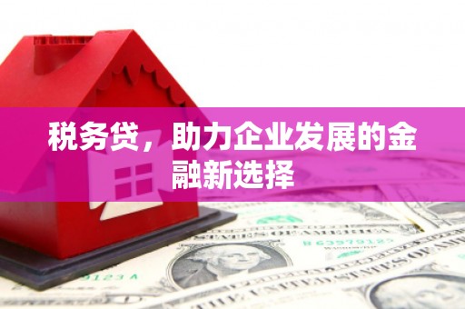 文成税务贷，助力企业发展的金融新选择