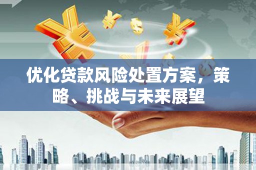 文成优化贷款风险处置方案，策略、挑战与未来展望