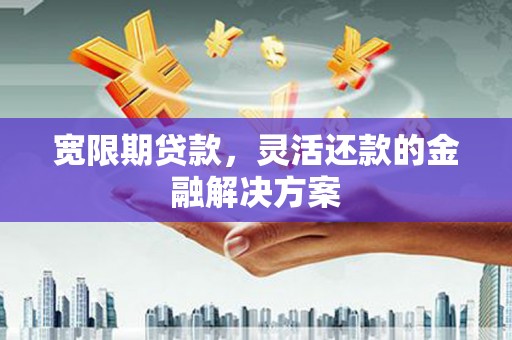 文成宽限期贷款，灵活还款的金融解决方案