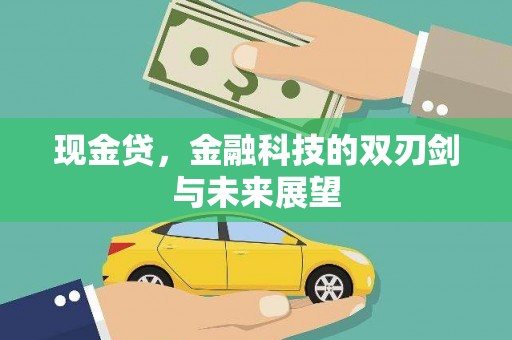 文成现金贷，金融科技的双刃剑与未来展望