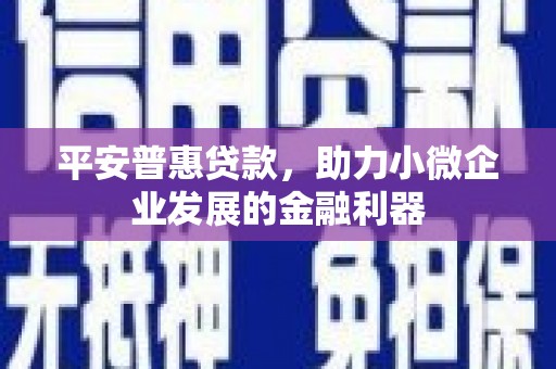 文成平安普惠贷款，助力小微企业发展的金融利器
