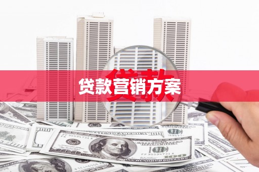 文成贷款营销方案