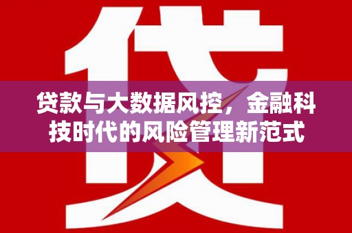 文成贷款与大数据风控，金融科技时代的风险管理新范式