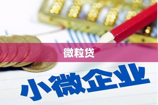 文成微粒贷