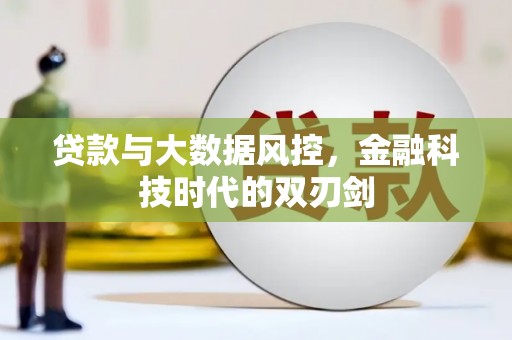 文成贷款与大数据风控，金融科技时代的双刃剑