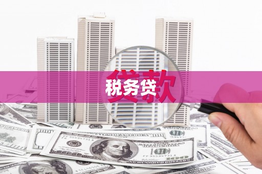 文成税务贷