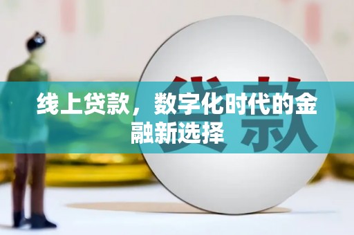 文成线上贷款，数字化时代的金融新选择