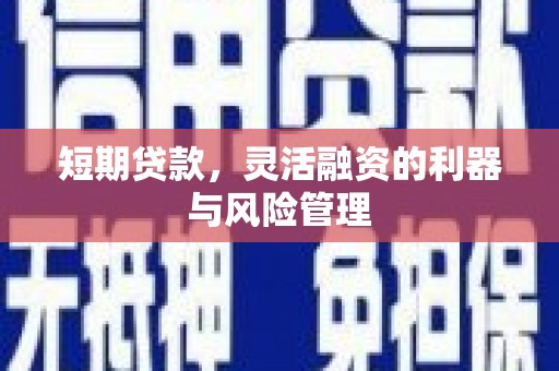 文成短期贷款，灵活融资的利器与风险管理