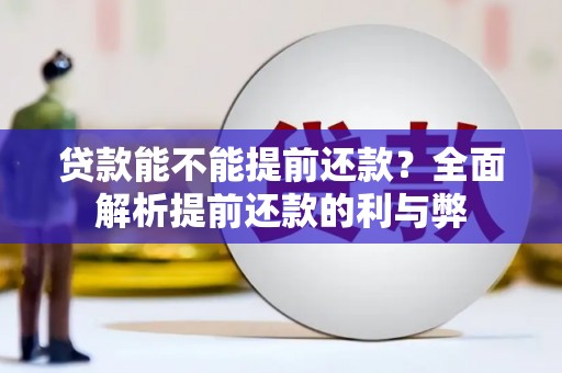 文成贷款能不能提前还款？全面解析提前还款的利与弊