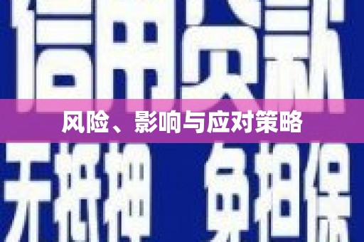 文成风险、影响与应对策略