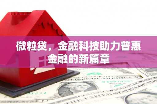 文成微粒贷，金融科技助力普惠金融的新篇章