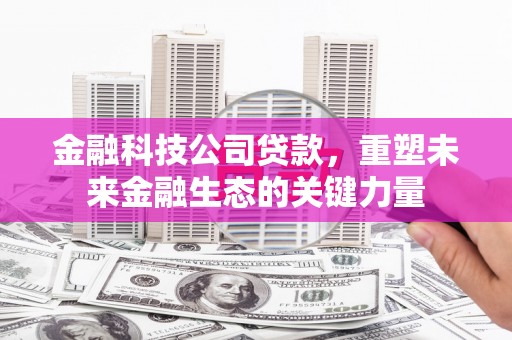文成金融科技公司贷款，重塑未来金融生态的关键力量