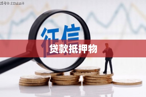 文成贷款抵押物