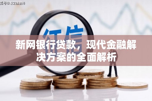 文成新网银行贷款，现代金融解决方案的全面解析