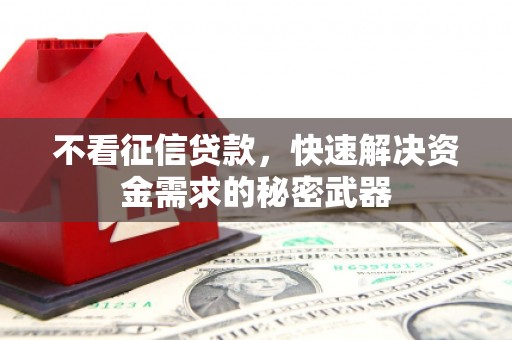 文成不看征信贷款，快速解决资金需求的秘密武器