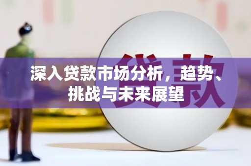 文成深入贷款市场分析，趋势、挑战与未来展望