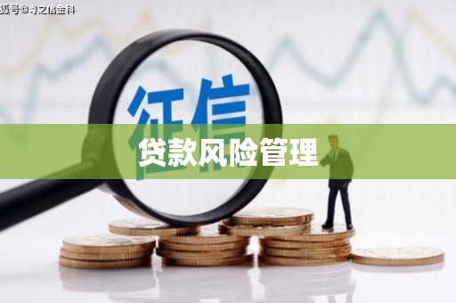 文成贷款风险管理