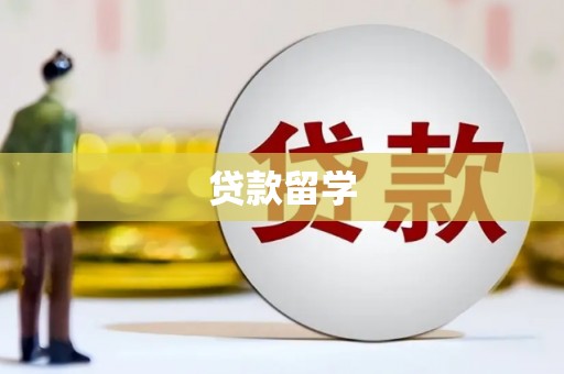 文成贷款留学