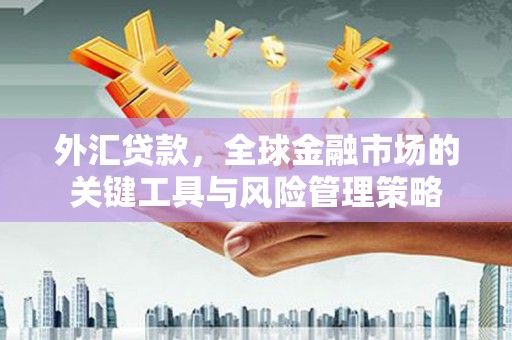 文成外汇贷款，全球金融市场的关键工具与风险管理策略