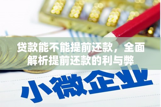 文成贷款能不能提前还款，全面解析提前还款的利与弊