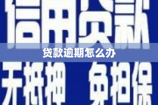 文成贷款逾期怎么办