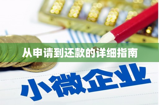 文成从申请到还款的详细指南