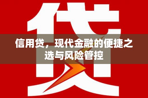 文成信用贷，现代金融的便捷之选与风险管控