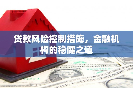 文成贷款风险控制措施，金融机构的稳健之道
