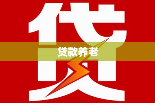 文成贷款养老