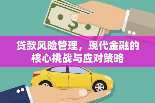 文成贷款风险管理，现代金融的核心挑战与应对策略