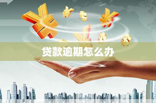 文成贷款逾期怎么办