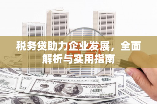 文成税务贷助力企业发展，全面解析与实用指南