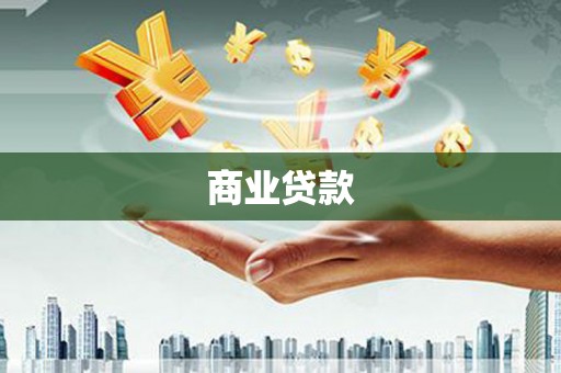 文成商业贷款