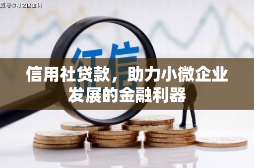 文成信用社贷款，助力小微企业发展的金融利器