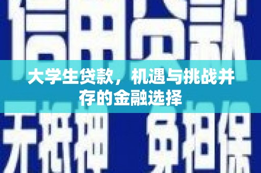 文成大学生贷款，机遇与挑战并存的金融选择