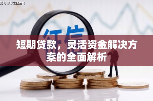 文成短期贷款，灵活资金解决方案的全面解析