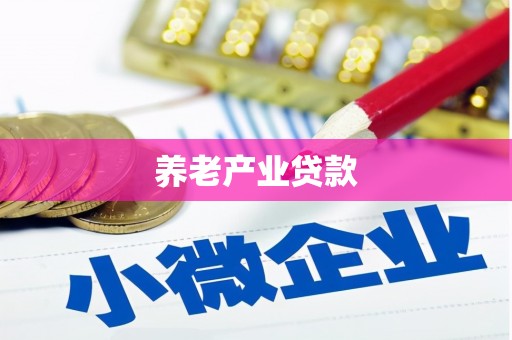 文成养老产业贷款