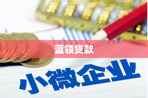 文成蓝领贷款