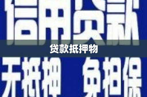 文成贷款抵押物