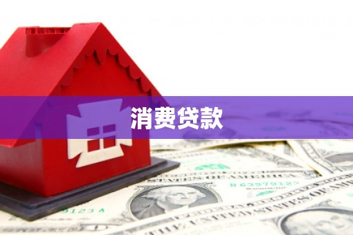 文成消费贷款