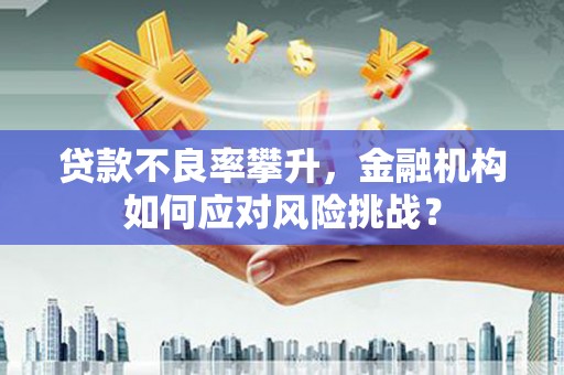 文成贷款不良率攀升，金融机构如何应对风险挑战？