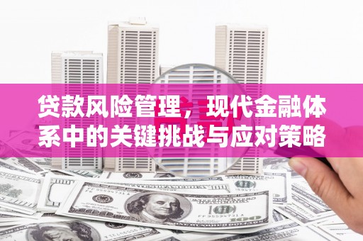 文成贷款风险管理，现代金融体系中的关键挑战与应对策略