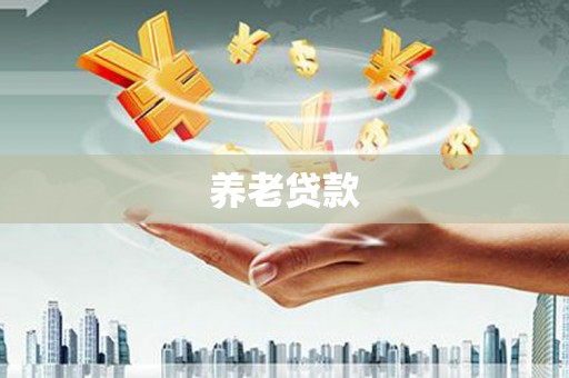 文成养老贷款