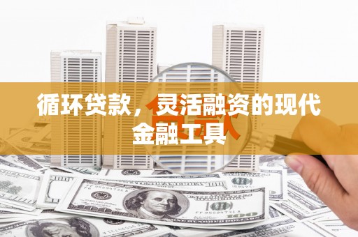 文成循环贷款，灵活融资的现代金融工具